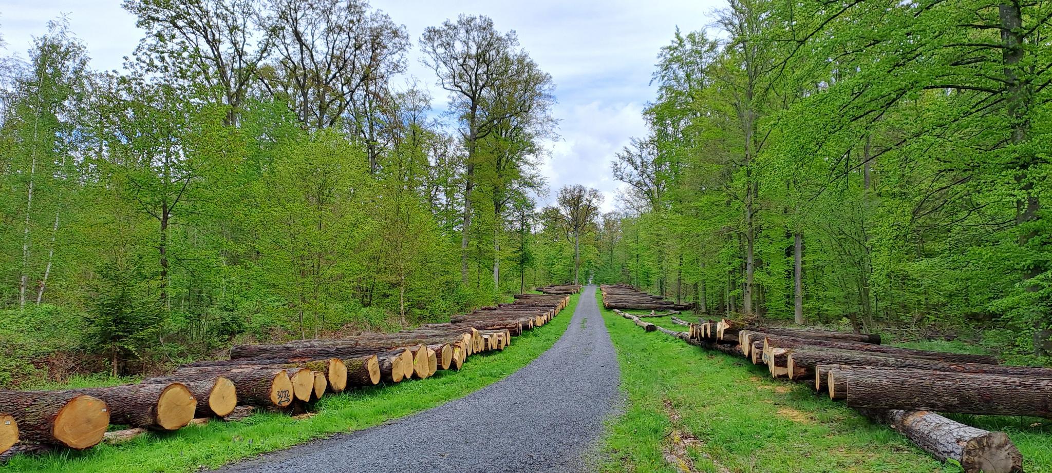 2024 04 21 144525 002